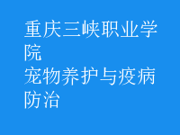 寵物養(yǎng)護與疫病防治