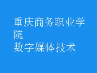 數(shù)字媒體技術(shù)