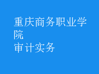 審計實(shí)務(wù)