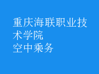 空中乘務(wù)