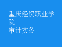 審計實(shí)務(wù)