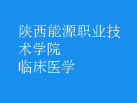 臨床醫(yī)學