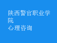 心理咨詢(xún)