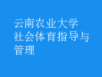 社會(huì)體育指導(dǎo)與管理