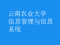 信息管理與信息系統(tǒng)