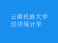 經(jīng)濟統(tǒng)計學(xué)