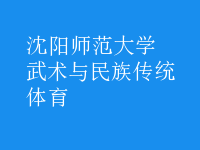 武術(shù)與民族傳統(tǒng)體育