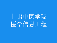 醫(yī)學(xué)信息工程