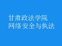 網(wǎng)絡(luò)安全與執(zhí)法