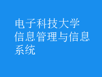 信息管理與信息系統(tǒng)