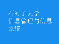 信息管理與信息系統(tǒng)