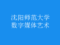 數(shù)字媒體藝術(shù)