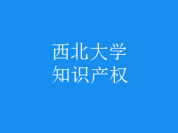 知識(shí)產(chǎn)權(quán)