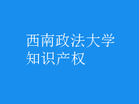 知識(shí)產(chǎn)權(quán)