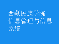 信息管理與信息系統(tǒng)