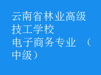 電子商務(wù)專業(yè) （中級）