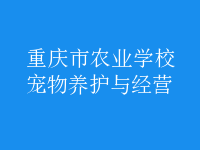 寵物養(yǎng)護(hù)與經(jīng)營