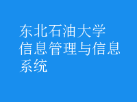 信息管理與信息系統(tǒng)