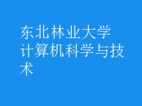 計算機科學與技術(shù)