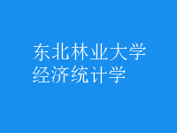 經(jīng)濟統(tǒng)計學