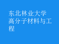 高分子材料與工程