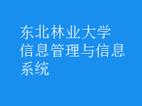 信息管理與信息系統(tǒng)