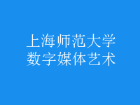 數(shù)字媒體藝術(shù)