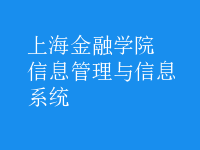 信息管理與信息系統(tǒng)