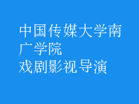 戲劇影視導(dǎo)演